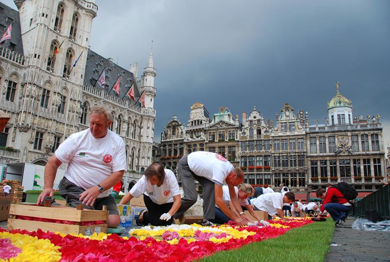 flower carpet 2010