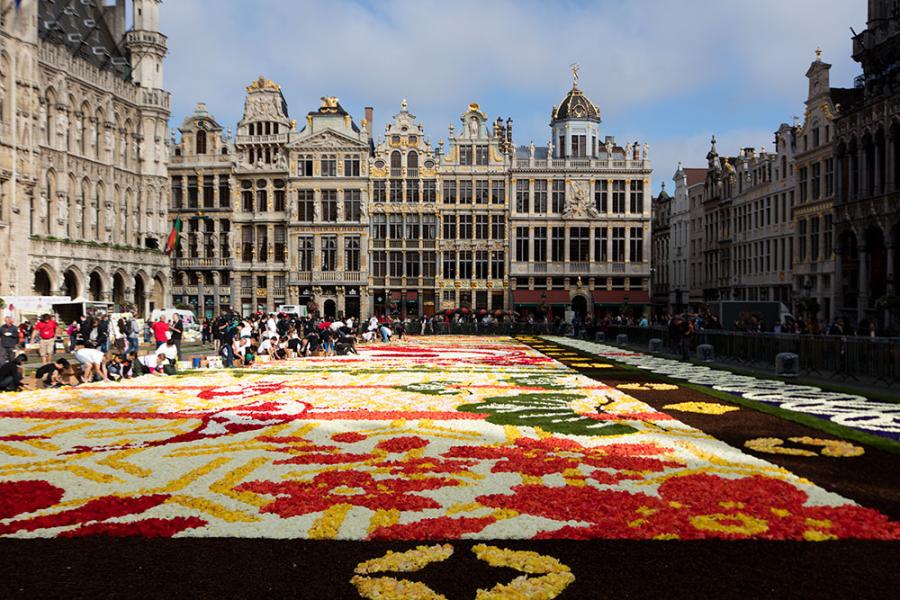 flower carpet 2016